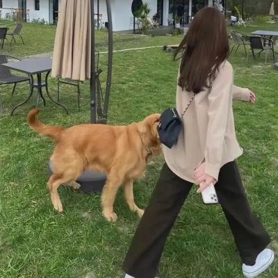 白莲花度假村第二季